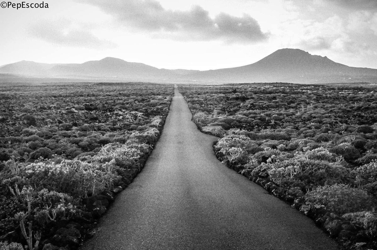 La llibertat no és només obrir portes, sinó entendre per què hi som dins. És camí, no destí; una elecció constant entre el que som i el que volem ser. Una dansa entre la por i l'esperança. Només qui s’hi atreveix, la troba.
Pep Escoda 

#Photography ©️Pep Escoda