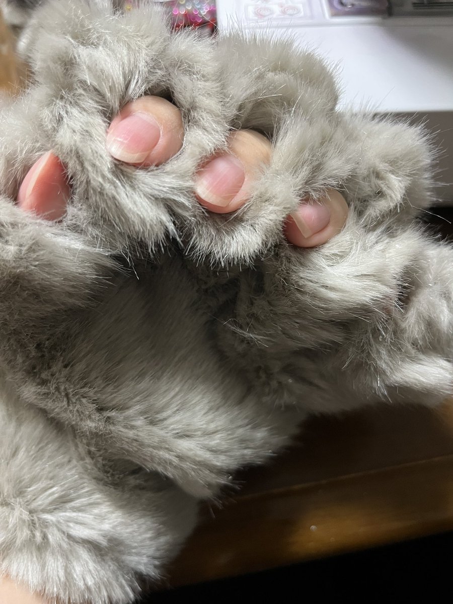 nma1389's tweet photo. もふもふのウサギおてて作ってます。 https://t.co/0T1pTGMPG7