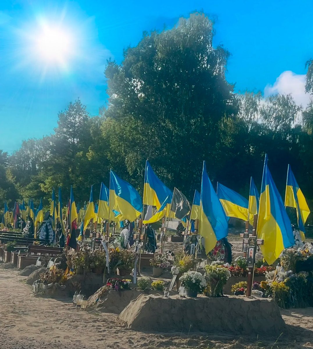 Ean Bett, MD tweet media