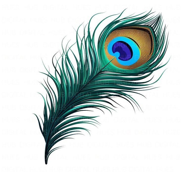 Best wishes &amp; joyous greetings to all my friends celebrating Janmashtami: birthday day celebration for lord Krishna, on TwitterX platform