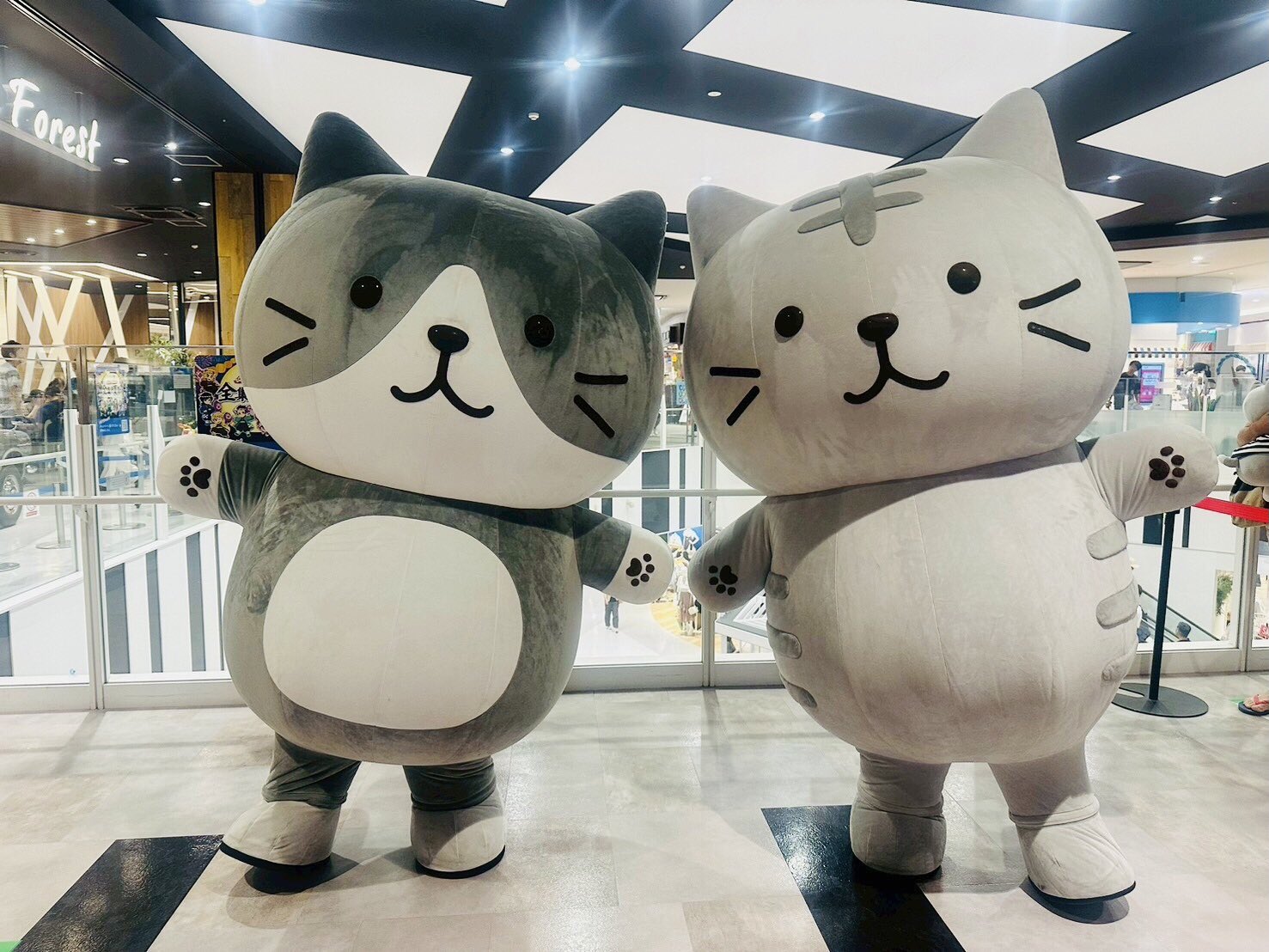 ふくにゃん様 リクエスト 4点 まとめ商品 にゃん様 リクエスト 4点 まとめ商品 ふくにゃん様 リクエスト 4