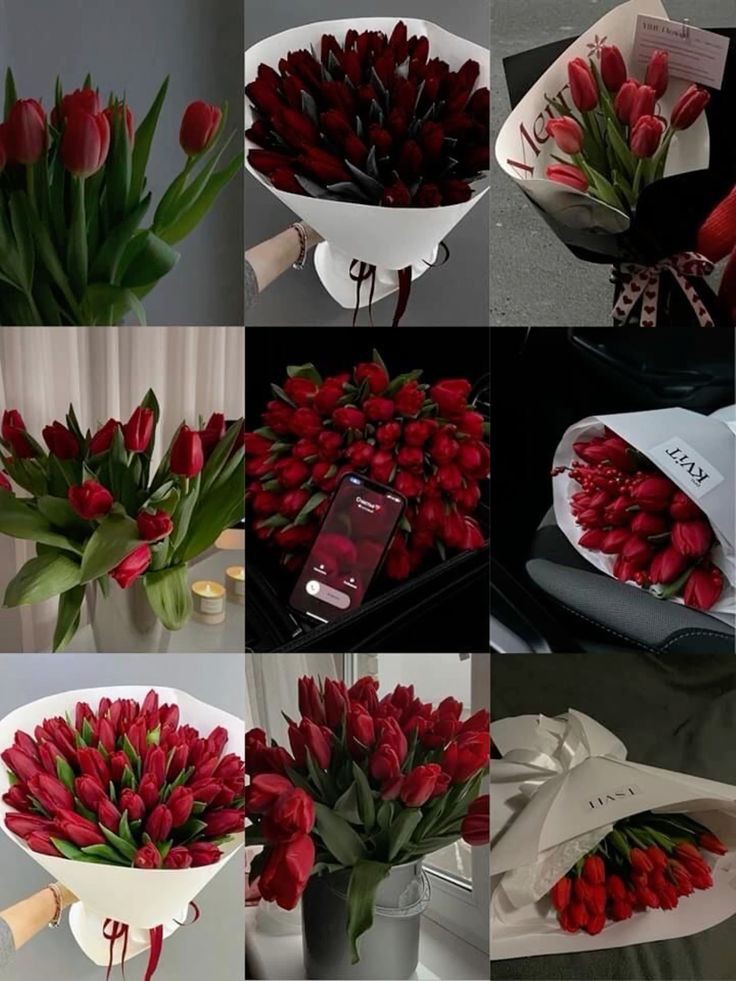 Only Tulips tweet media