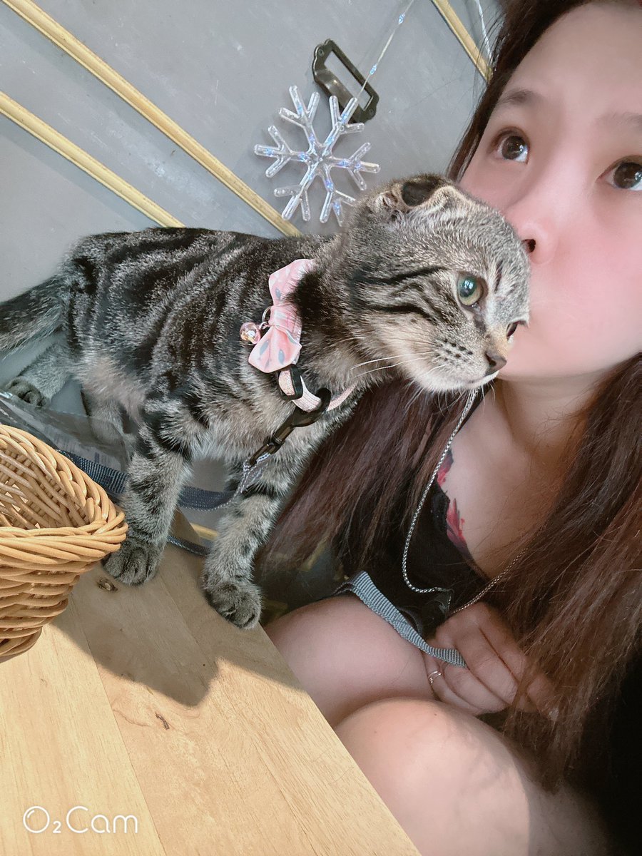 嘟寶ㄦ❤️ tweet media