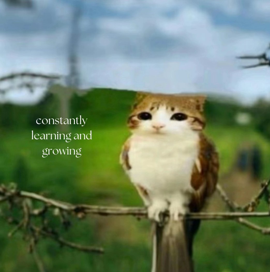 ✈️ Helix ✈️ 🔜FWA (@c3h2f6) on Twitter photo 