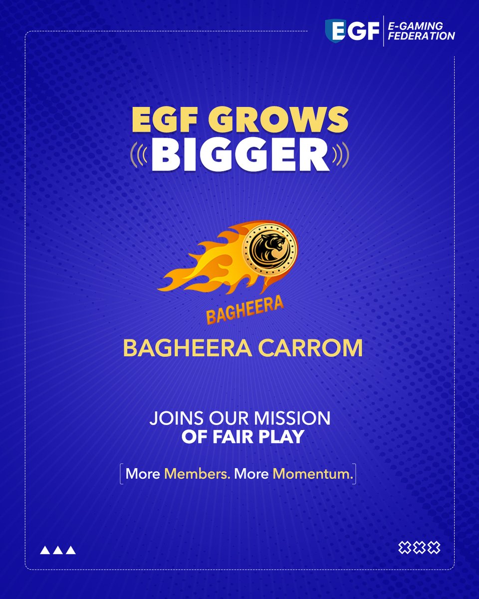 E-Gaming Federation tweet media