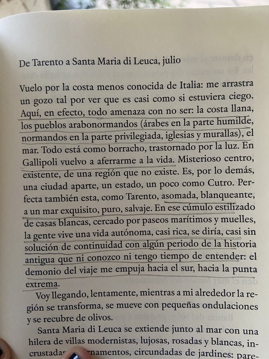 jansa_noemi's tweet photo. https://t.co/pUjOc3Xr1O