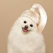 🄰🅃🄲 ™ tweet media