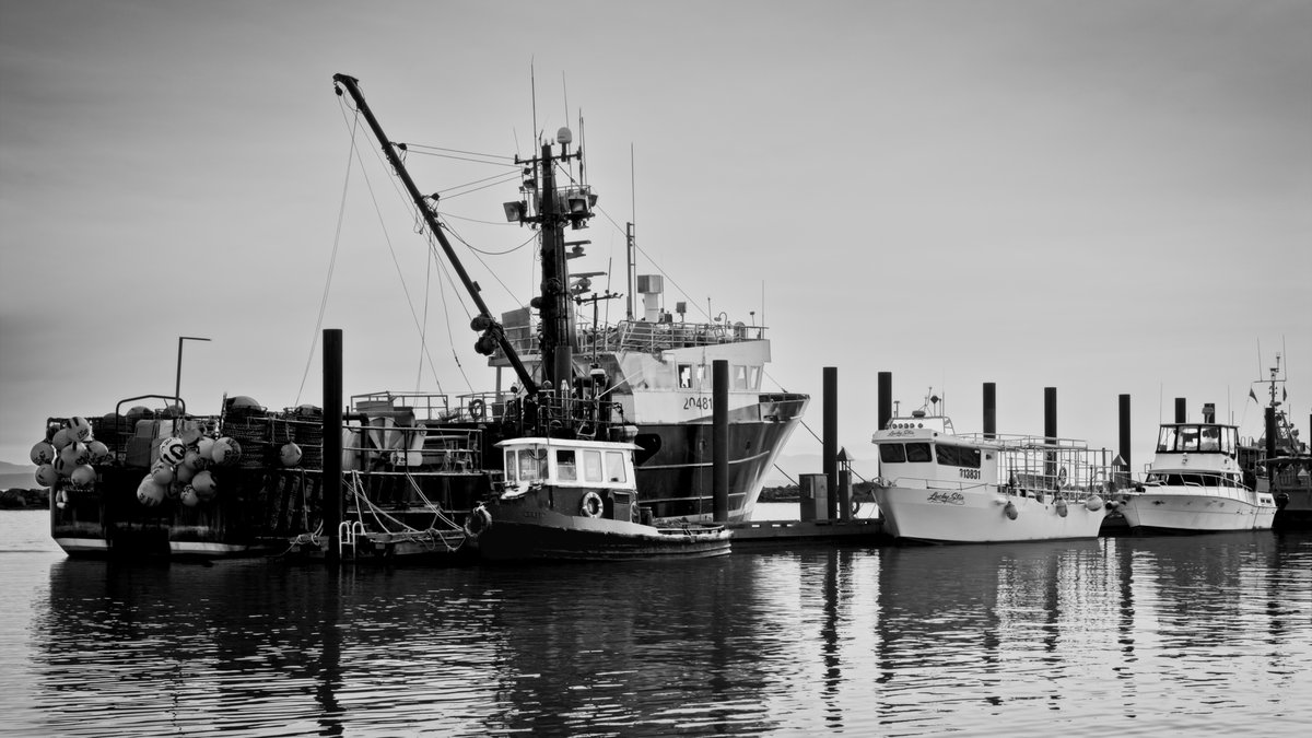 epchoi99's tweet photo. @NikonUSA On a cloudy day trying to capture high key photos at Steveston Fisherman Wharf https://t.co/YQnmAtpxNE