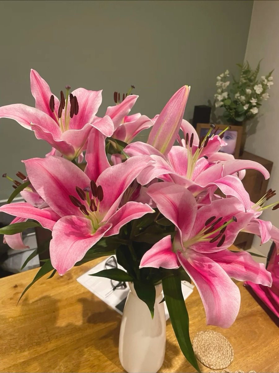 i3Moment's tweet photo. Lilies https://t.co/qZWuZW3o09