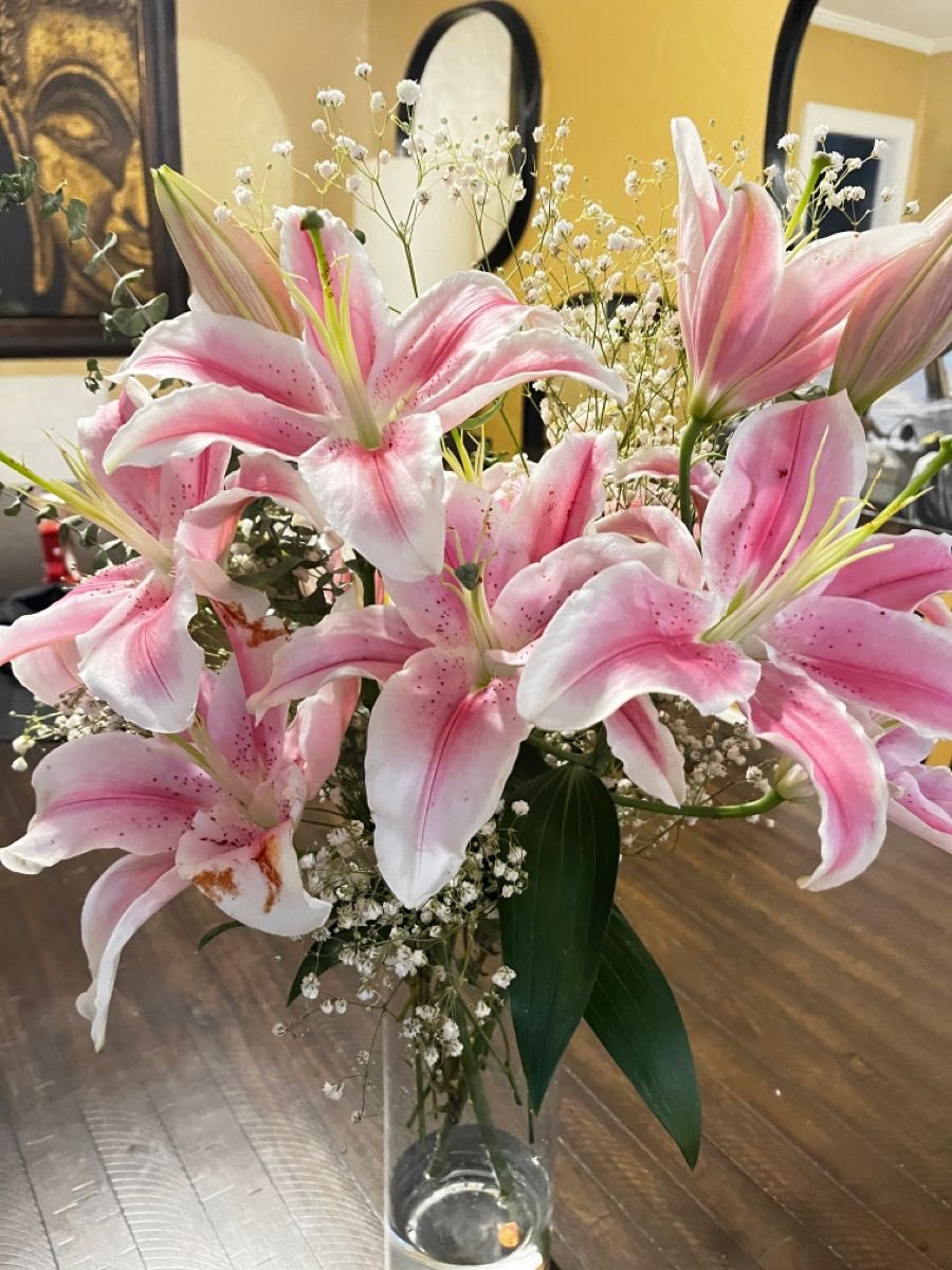 i3Moment's tweet photo. Lilies https://t.co/qZWuZW3o09