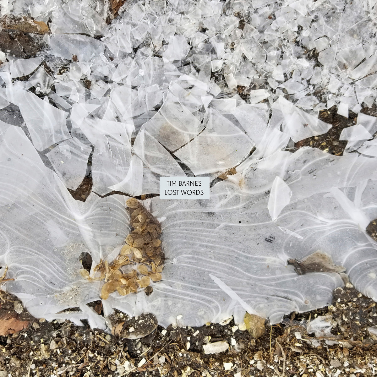 Art into Life (@art_into_life) on Twitter photo 長年に渡りパーカッショニストとして活動、主宰のレーベルQuakebasketではアンガス・マクリーズやヘンリー・フリントのアーカイヴも手掛けた重要人物Tim Barnes。Jim O'Rourke、Oren Ambarchiがサポート、氏の揺るぎないリズムへの熱意が幅広いスタイルへと拡張された傑作。
art-into-life.com/product/15615 長年に渡りパーカッショニストとして活動、主宰のレーベルQuakebasketではアンガス・マクリーズやヘンリー・フリントのアーカイヴも手掛けた重要人物Tim Barnes。Jim O'Rourke、Oren Ambarchiがサポート、氏の揺るぎないリズムへの熱意が幅広いスタイルへと拡張された傑作。
art-into-life.com/product/15615