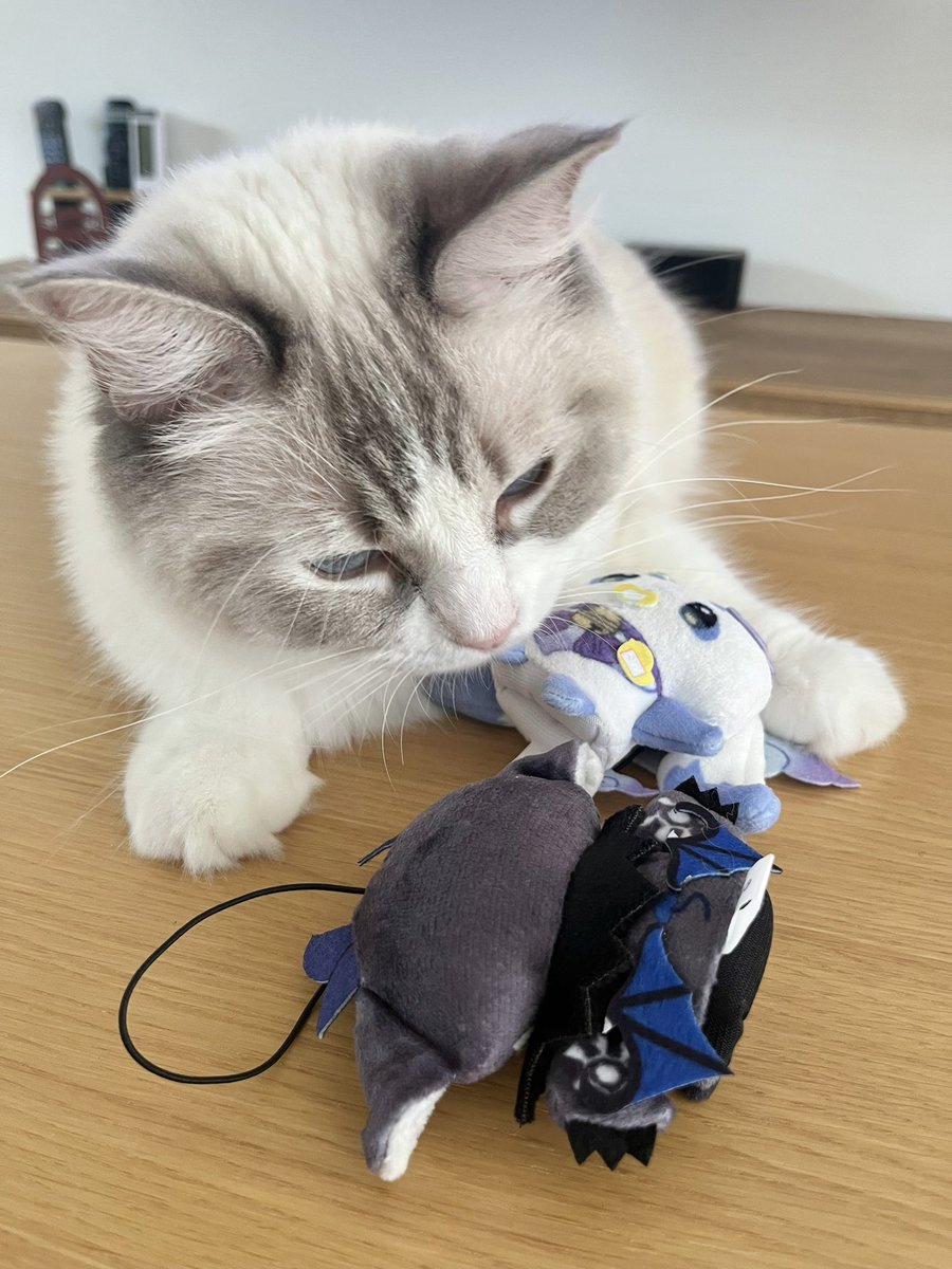 Ao_Decoboco's tweet photo. 我が家のでびるんるん(ｴｹﾁｪﾝ)🍼と猛獣🐱

#ちょまと撮ったよ #見るんるん #でびでびでびるさま https://t.co/zR22BEfMlF