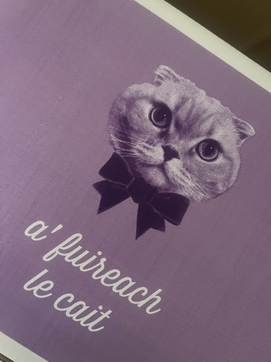 momo_clo_0202's tweet photo. れにちゃんのプロデュースブランド「Re cat」の諸々届いた🐱💜
箱が思ってた以上に大きくてちょっと笑った🤣
第2弾、第3弾…と続いていくといいなぁ
#高城れに
#Recat https://t.co/ZcW9xPax8i