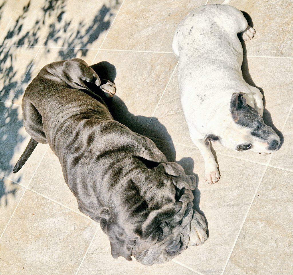 On a vu les valises
Si on se met bien dans le passage 
Elle ne nous oubliera pas.