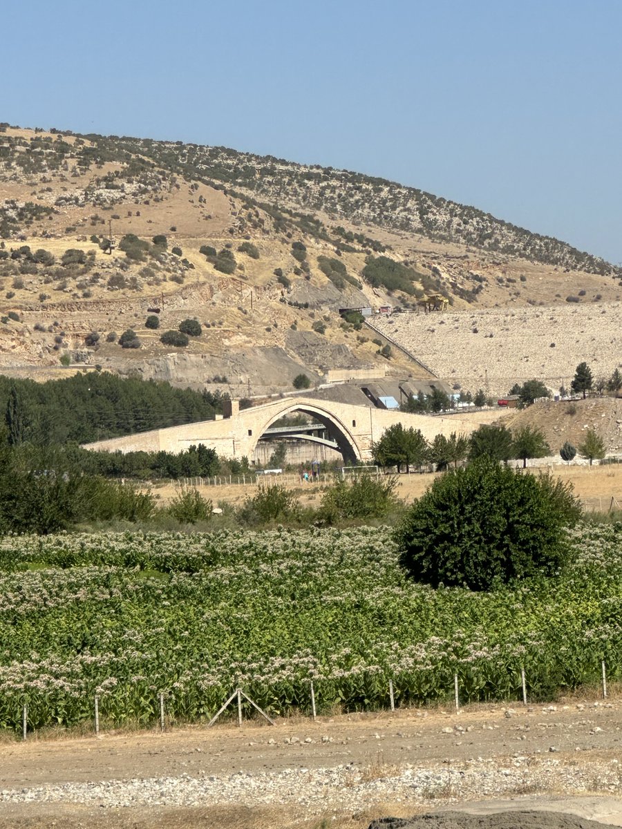 📍Malabadi Köprüsü