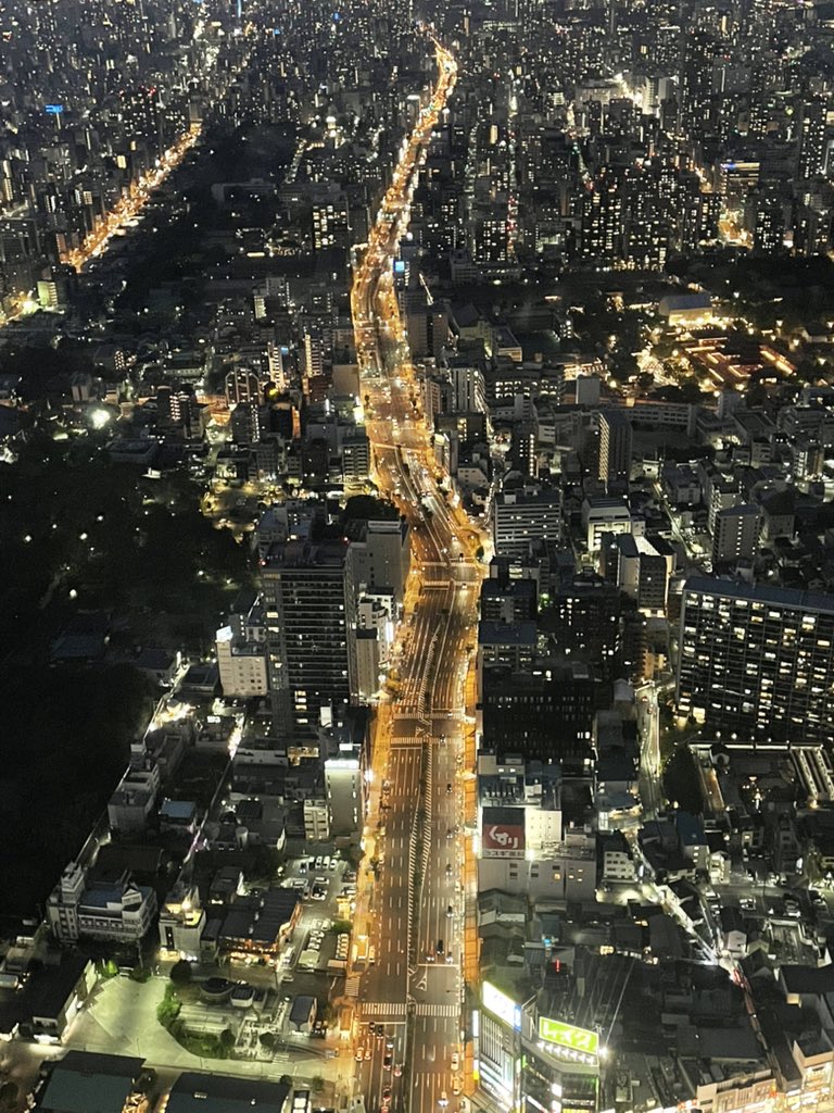 きっど🕷️ tweet media