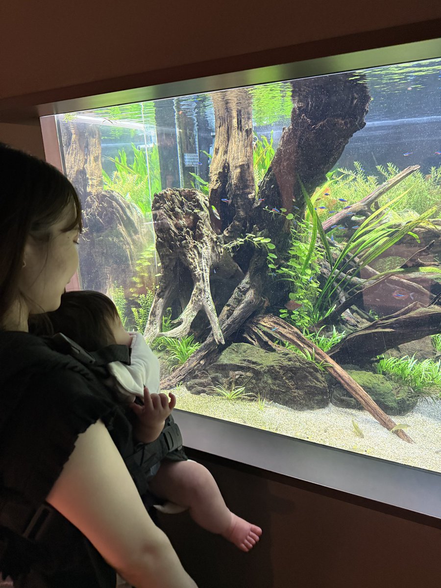 erekirin's tweet image. 初めてカワスイ行ったけどえのすいより全然楽しめた
謎解きはそこそこ