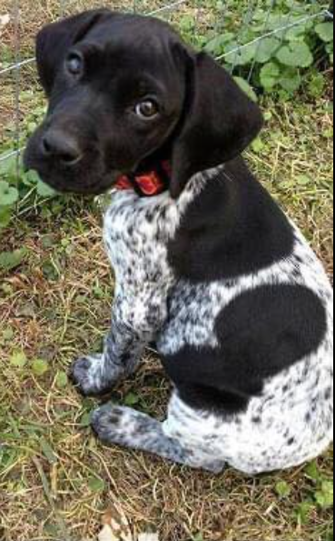 Hello! I'm just wondering how many of you would love to say hello back to me ? 🥹💞😘