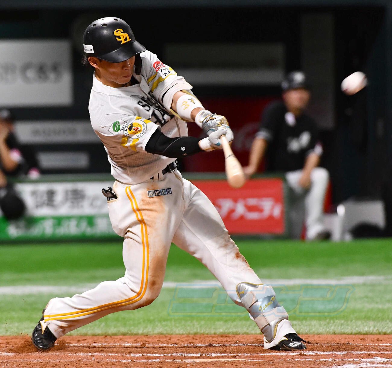 日刊スポーツ西部本社(九州・山口) on X: 