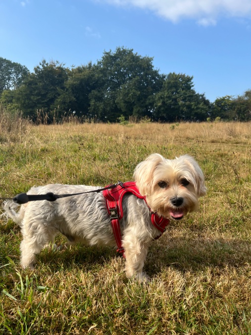 EuropeanPowell's tweet image. I&apos;m in Cardiff for the next month. Wales now has 8 SEZs + 2 &apos;green&apos; freeports courtesy of former First Minister of Wales Mark Drakeford.
bylines.cymru/freeports-gaze…
Deregulated free zones threaten communities, workers&apos; rights, and the environment. If any activist groups want to…