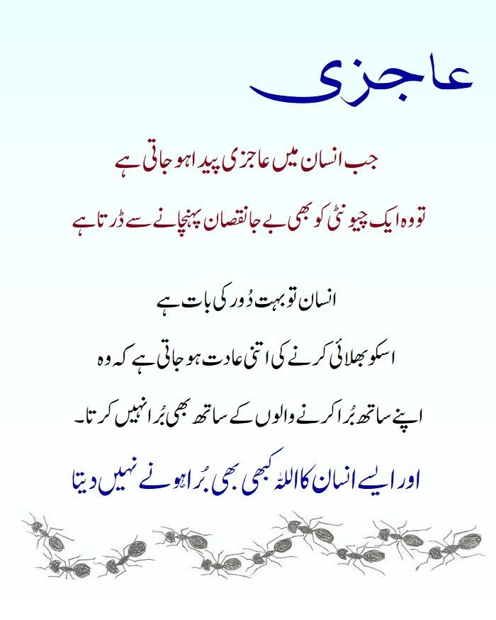 سعدیہ ملک tweet media
