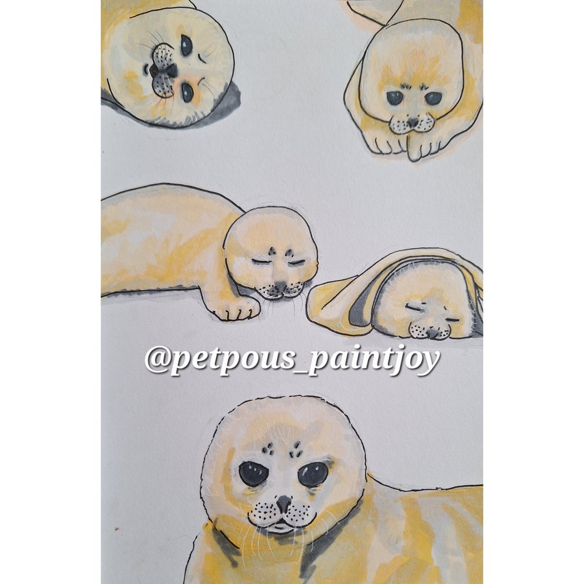 VirtualSealPet's tweet image. Baby Mizore drawings by me (@ is my ig) If I add another seal to virtual seal pet it would be Mizore so he could live forever and we could take care of him properly. 😭💔🦭 #sealtwt #sealart #sealdrawing #mizore #babymizore