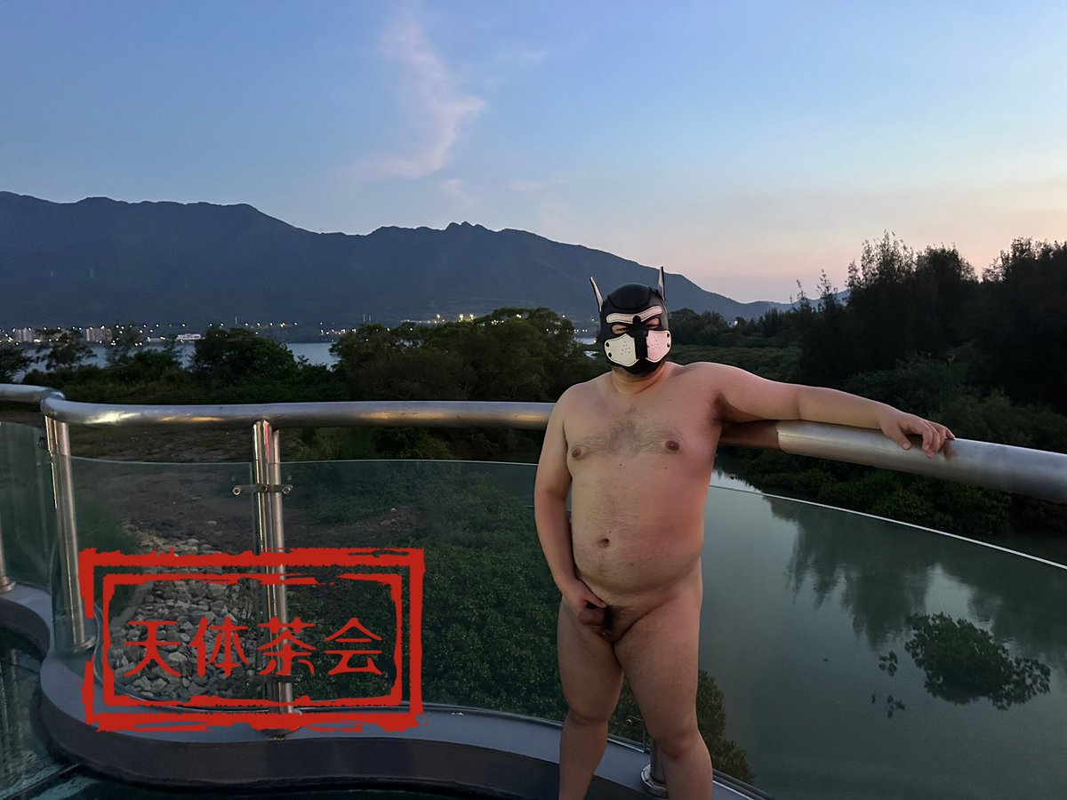 天体茶会 tweet media