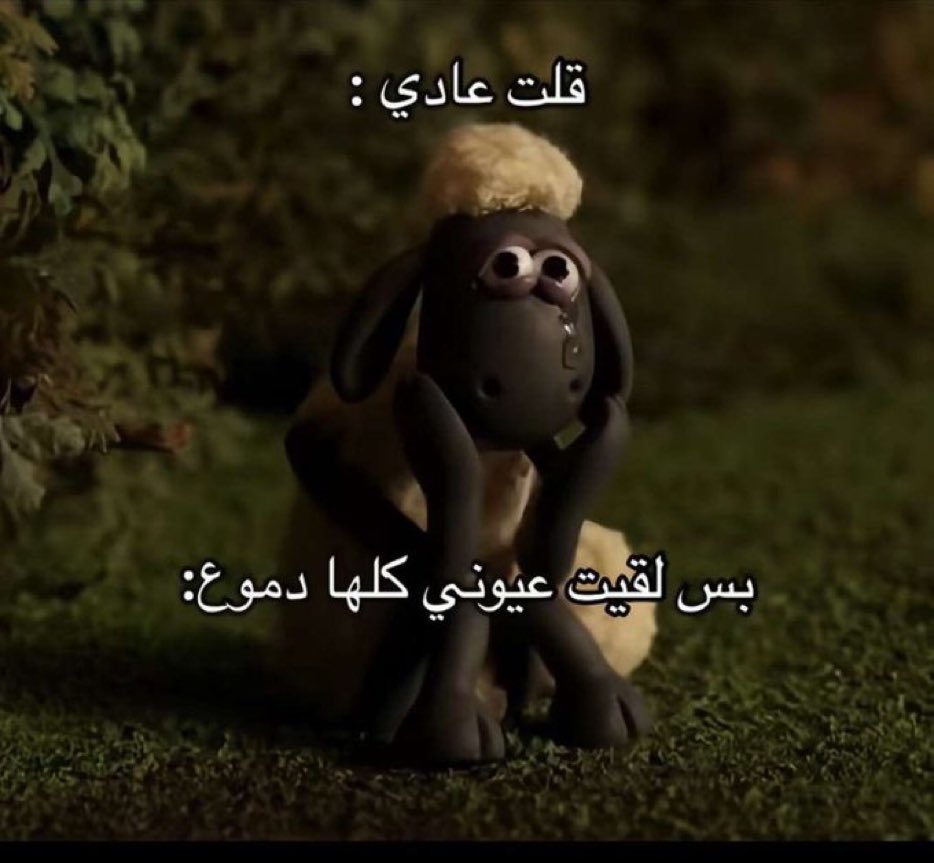 كل يوم صورة معبرة (@memesoficiial) on Twitter photo 