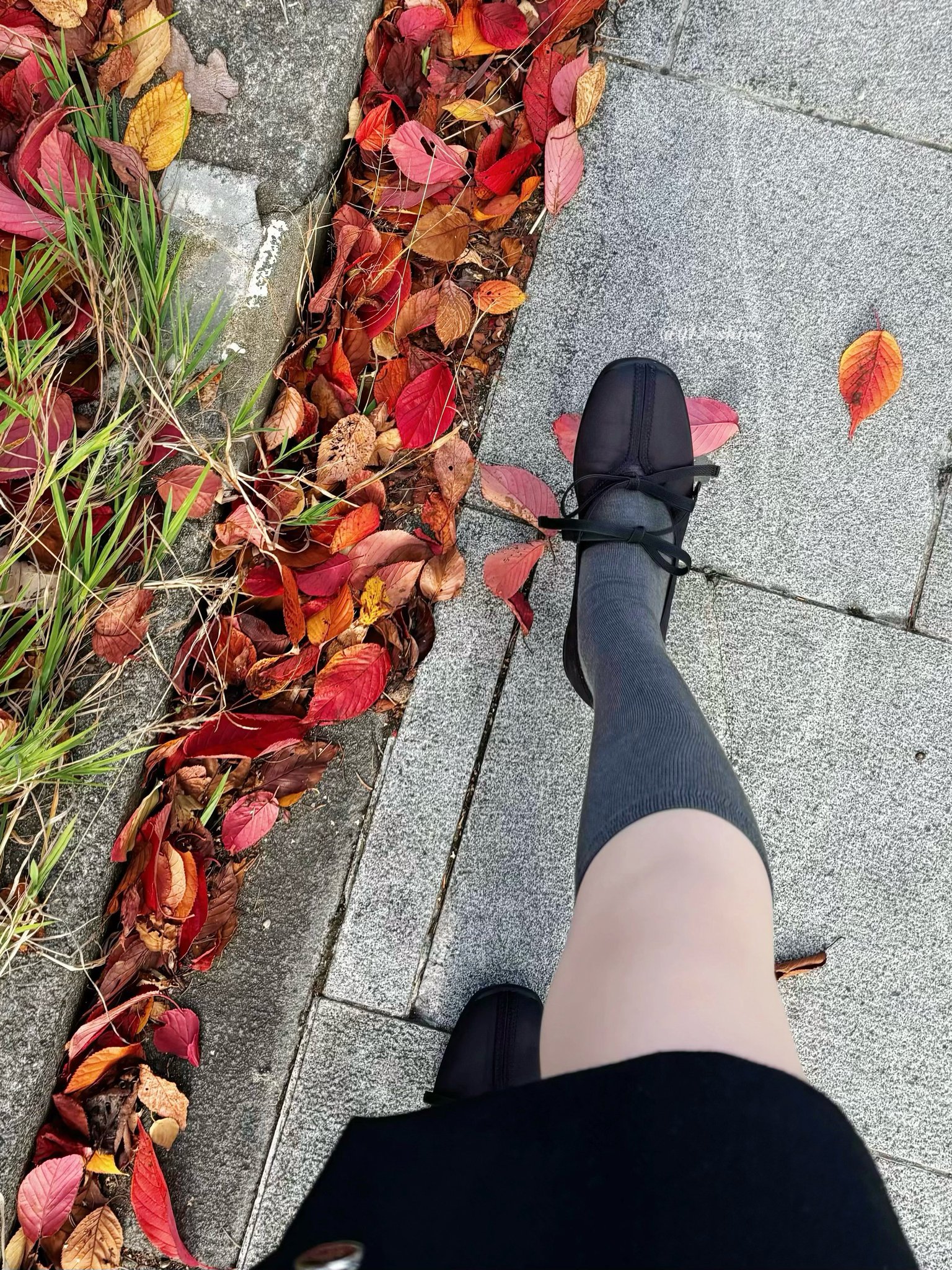 さち⭐️極美品⭐️ Le Talon パンプス　バレエシューズ LE TALON バレエシューズ パンプス 「追加」フレンチスクエア