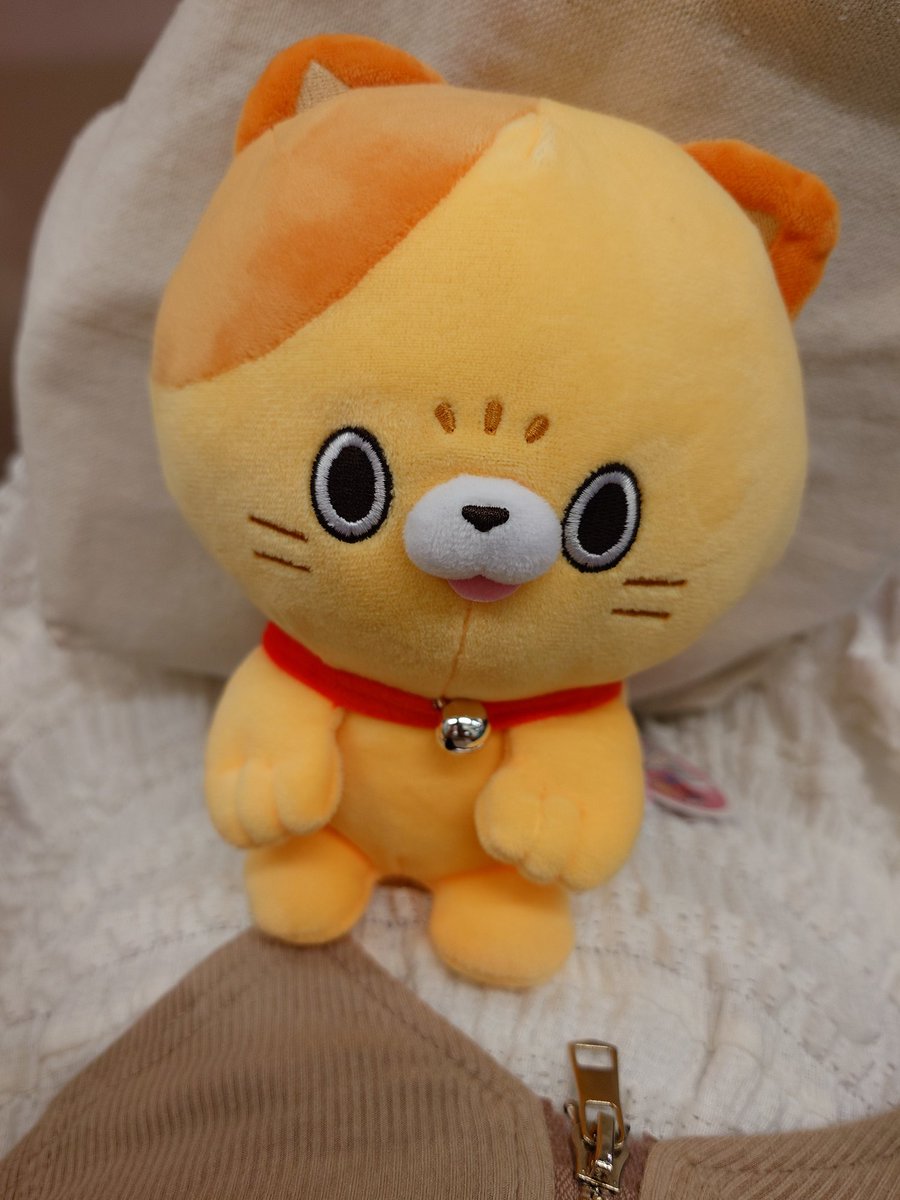 一発で取れた!!🐱そんなに私の家に来たいか…😌😌😌