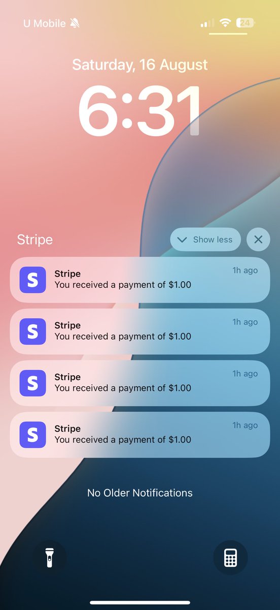 POV testing payments day