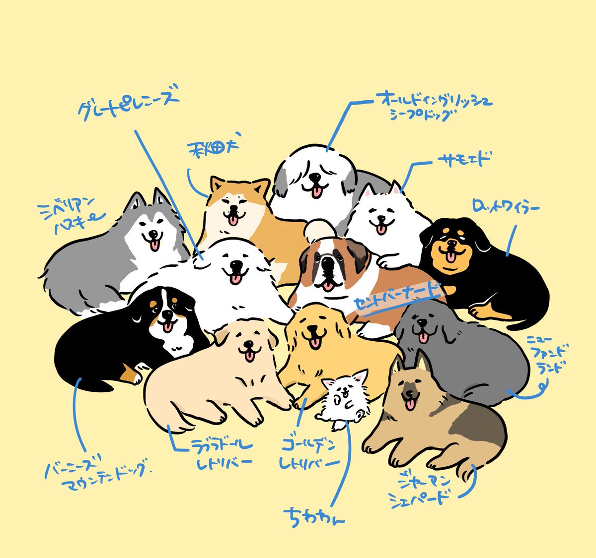 春だからお出かけ柴ちゃん❣️ ユイちゃん (@yuichan5213) / X