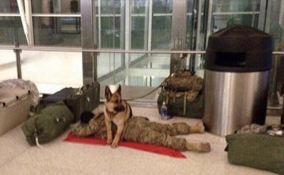 claireparisjazz's tweet image. 📣😷📣
 #SaintRoch saint patron des unités #cynophiles 
#MaitresChiens #Chiens 
* Et par Saint-Roch vive la cyno ! *
( clin d’œil à ma nouvelle paroisse  Église Saint-Martin Paroisse Saint-Roch #ValsLesBains #Ardèche )