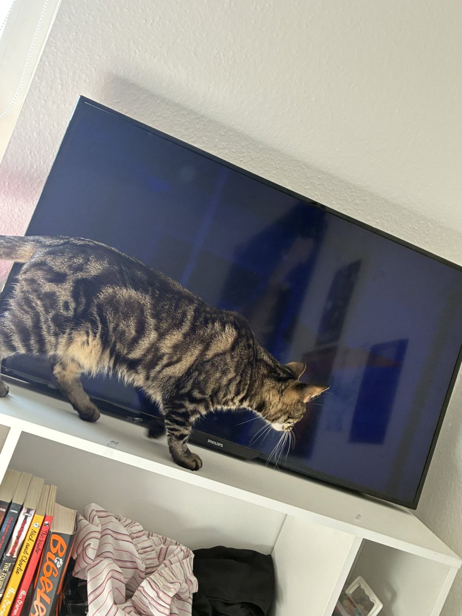 zendzonez's tweet photo. Mom came home with a tv for me https://t.co/iTYgSFHgcE