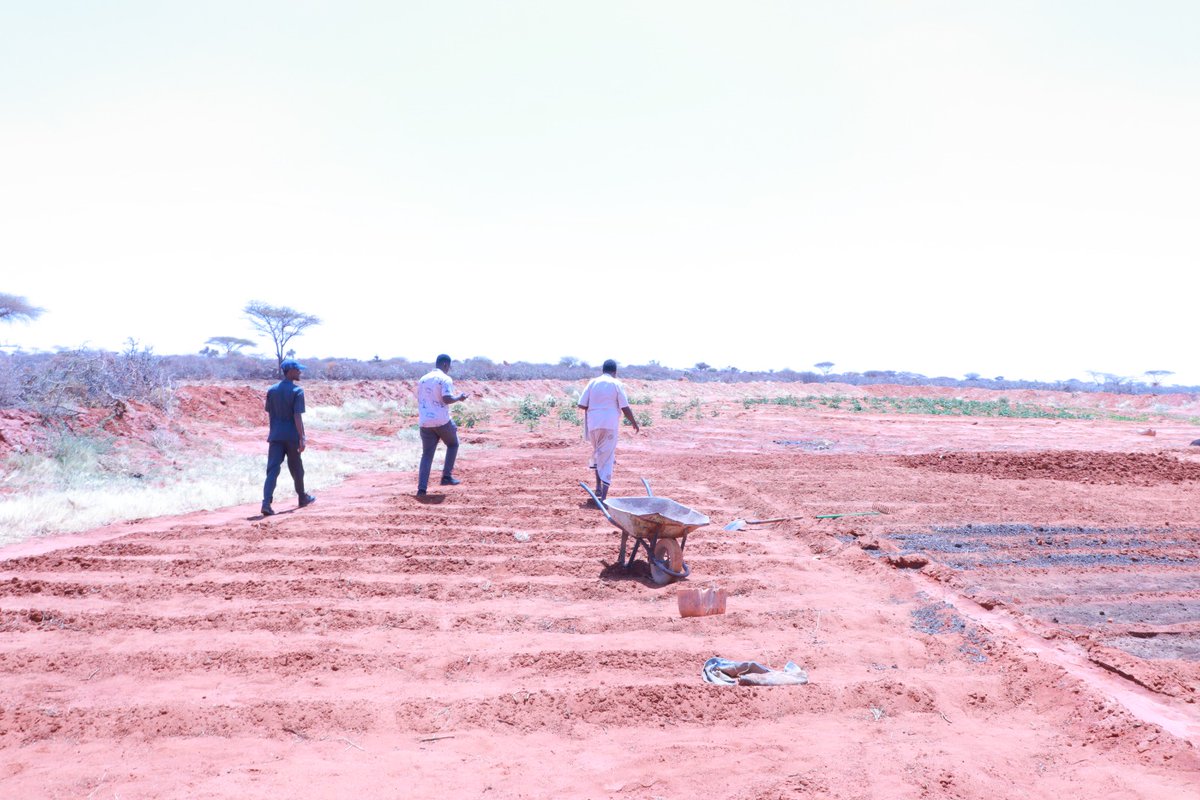 SDCSOM's tweet image. In Bursalax District, @SDCSOM’s team inspected sites for upcoming infrastructure under #JRPPhase2. Work is progressing smoothly to meet community priorities.
Stay tuned for more updates on building resilience! 🌱With thanks to @WFPSomalia support #CommunityResilience