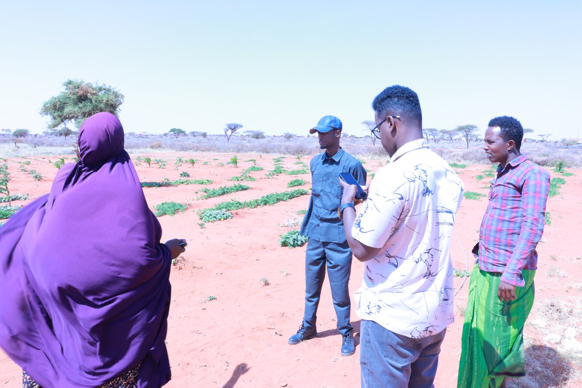 SDCSOM's tweet image. In Bursalax District, @SDCSOM’s team inspected sites for upcoming infrastructure under #JRPPhase2. Work is progressing smoothly to meet community priorities.
Stay tuned for more updates on building resilience! 🌱With thanks to @WFPSomalia support #CommunityResilience