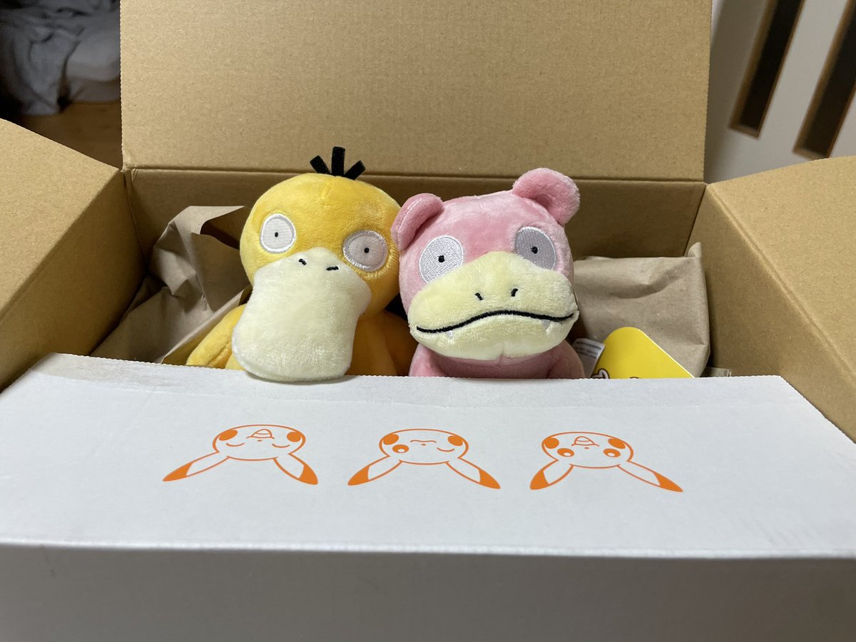 &lt;これからよろしくね‼️