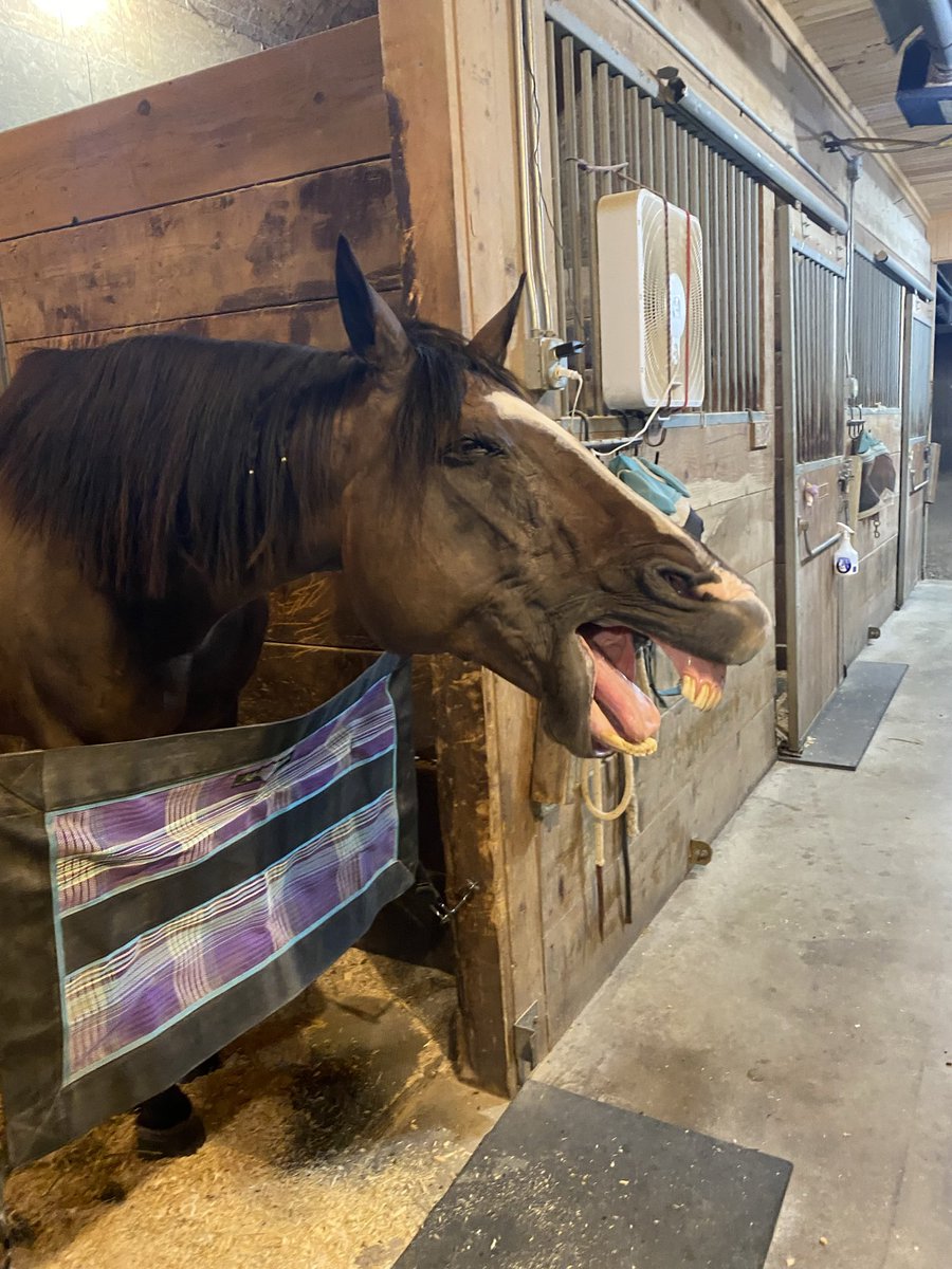 Good Morning Friends