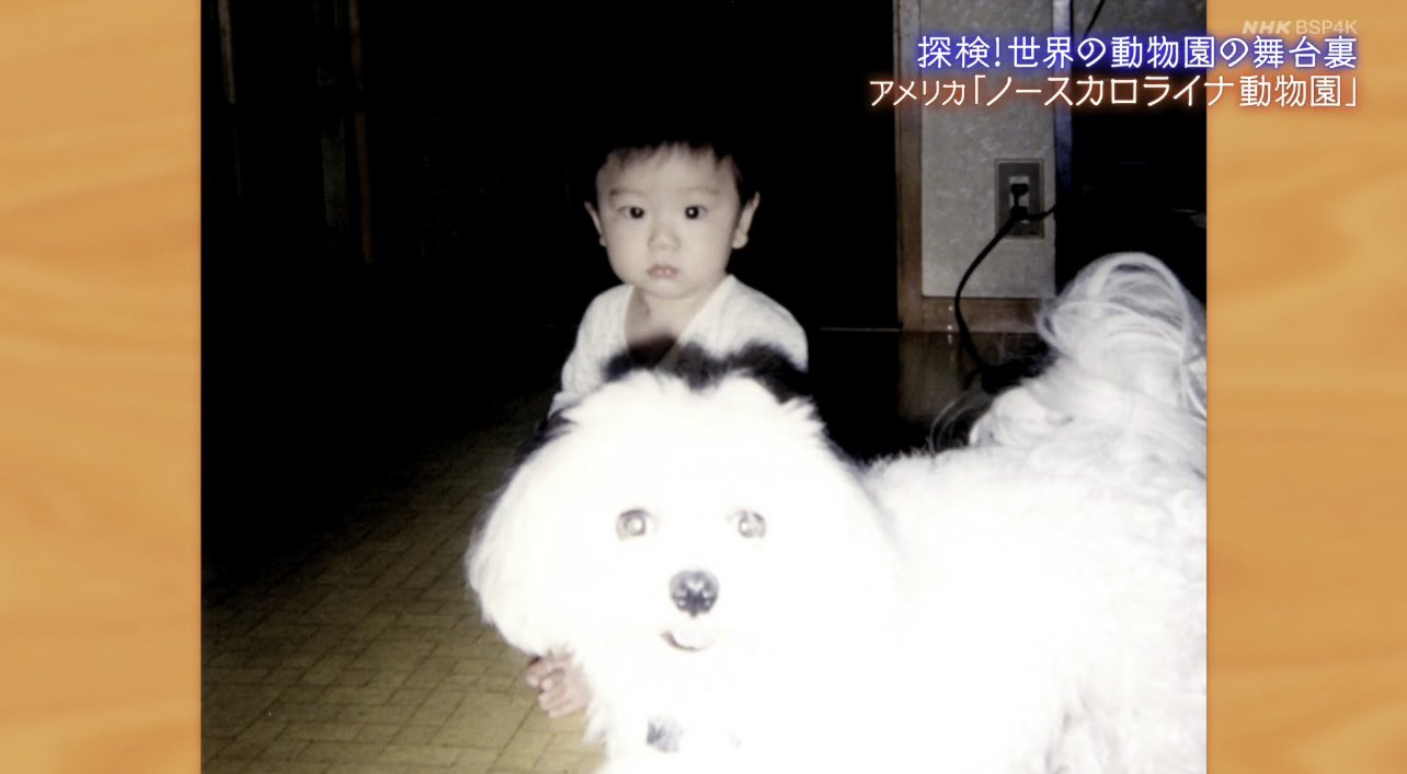 ノースカロライナ動物園 - Search / X