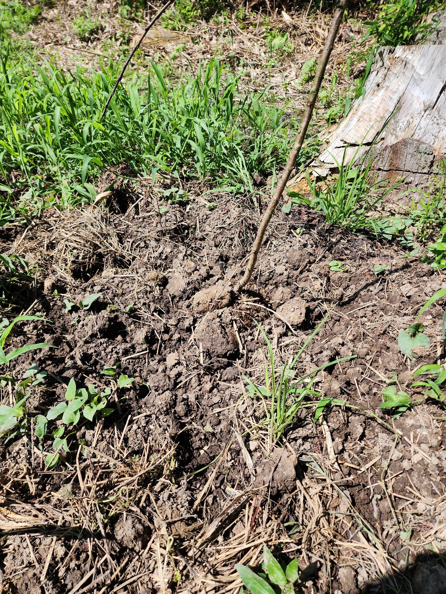 盾野川まとめ売り 楯の川酒造公式オンラインショップ