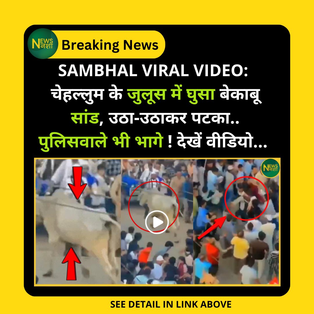 newsnasha's tweet photo. Sambhal Viral Video: चेहल्लुम के जुलूस में घुसा बेकाबू सांड, उठा-उठाकर पटका.. पुलिसवाले भी भागे ! देखें वीडियो...
पूरा वीडियो -> https://t.co/A2JSlZQl2F
#Sambhal #Chehallum #BullAttack #UPNews #ViralVideo @sambhalpolice @Uppolice @samajwadiparty @yadavakhilesh https://t.co/qPGPLJYEj7
