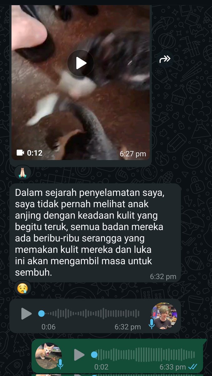 MirulAm05674851's tweet photo. Kesian.. kulit puppies mengalami jangkitan serius akibat serangan serangga.. 😭😭 Mereka cuma perlukan masa, rawatan dan doa kita semua untuk kembali sihat.

Terima kasih 🙏🏻 🤲

https://t.co/tqr85Rqr8N https://t.co/iJMogrFHse