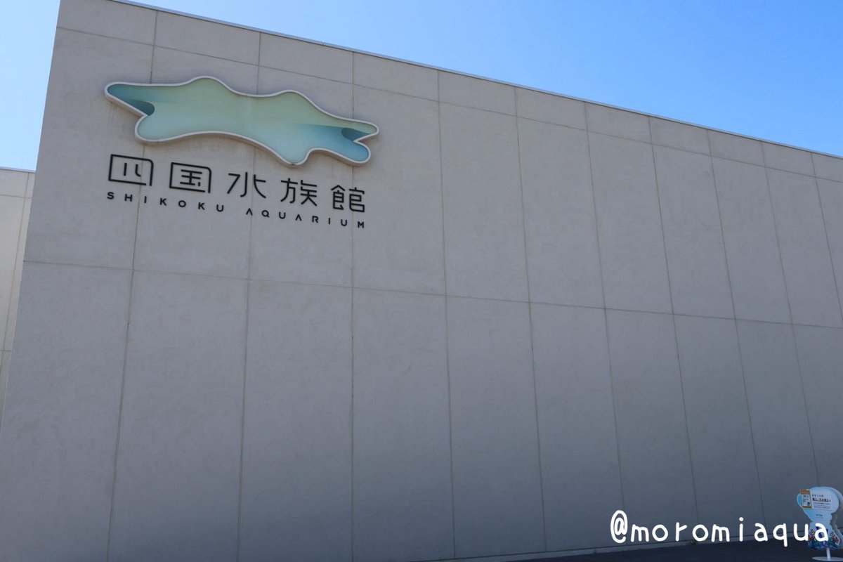 moromiaqua's tweet photo. 今日は香川県、#市場水族館 と #四国水族館 へ行きました。
市場水族館は新屋島水族館のリニューアルに伴う期間限定開業で低価格ながらもペンギンやカワウソたちが見れます。
四国水族館はサンセットプログラムが見たくて昨年ぶりに訪問。期待以上に良かったので来年も行きたい！ https://t.co/zl44MDrE4u