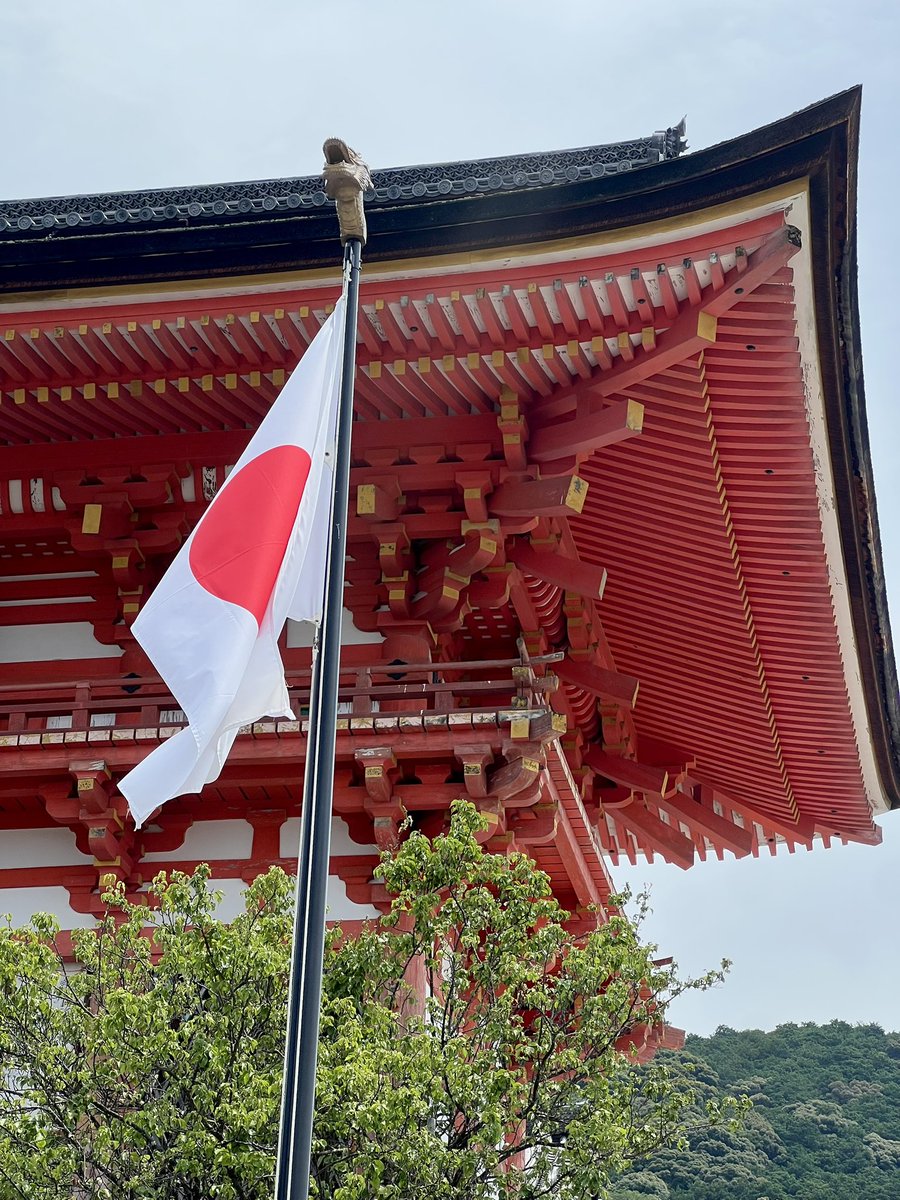 ecemozcelikk's tweet photo. Kyoto August 2025 https://t.co/F0fXxBWN3b