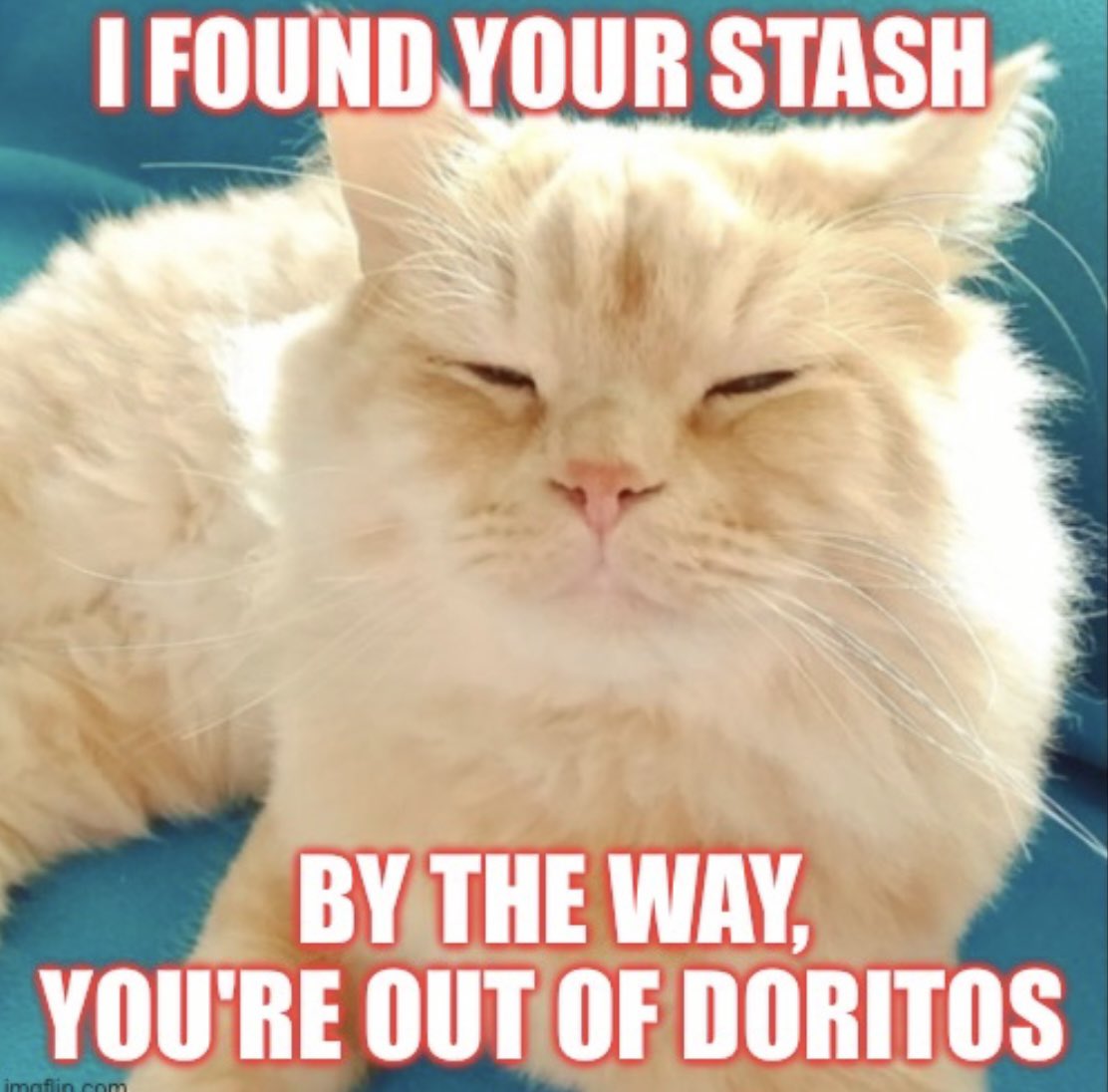 Legal Weed 4 SC 🍃 tweet media