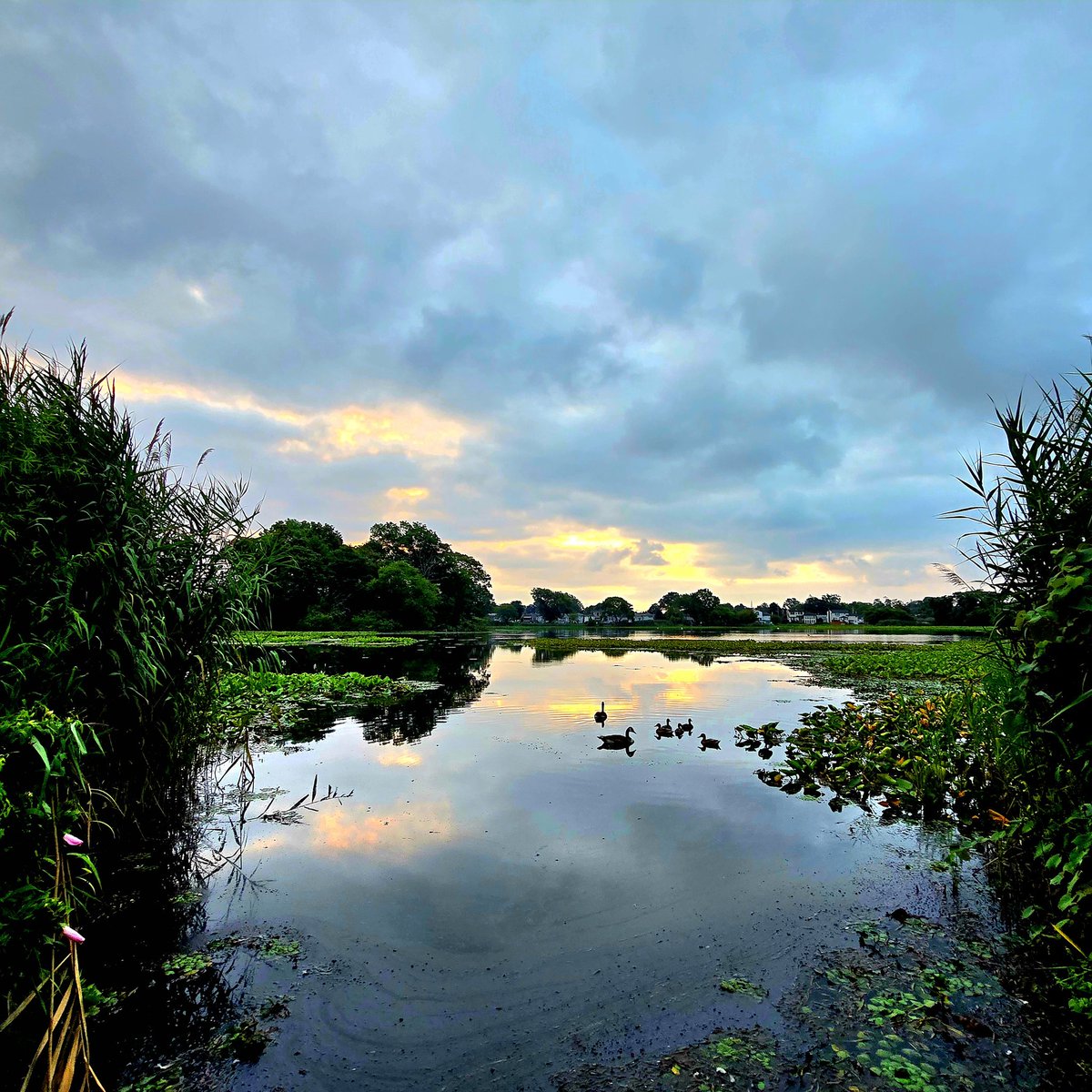 <a href="/AddisonGreenWX/">Addison Green</a> 
<a href="/AlexCalamiaWx/">Alex Calamia ☀️</a> 
<a href="/hoffmanrich/">RichHoffmanWeather</a> 
<a href="/TreutleinDenise/">Denise treutlein</a> 
<a href="/mark_tarello/">Mark Tarello</a> 
<a href="/News12LI/">News12LI</a> 
#n12stormwatchers 
A cloudy sunrise at the Massapequa lake this morning