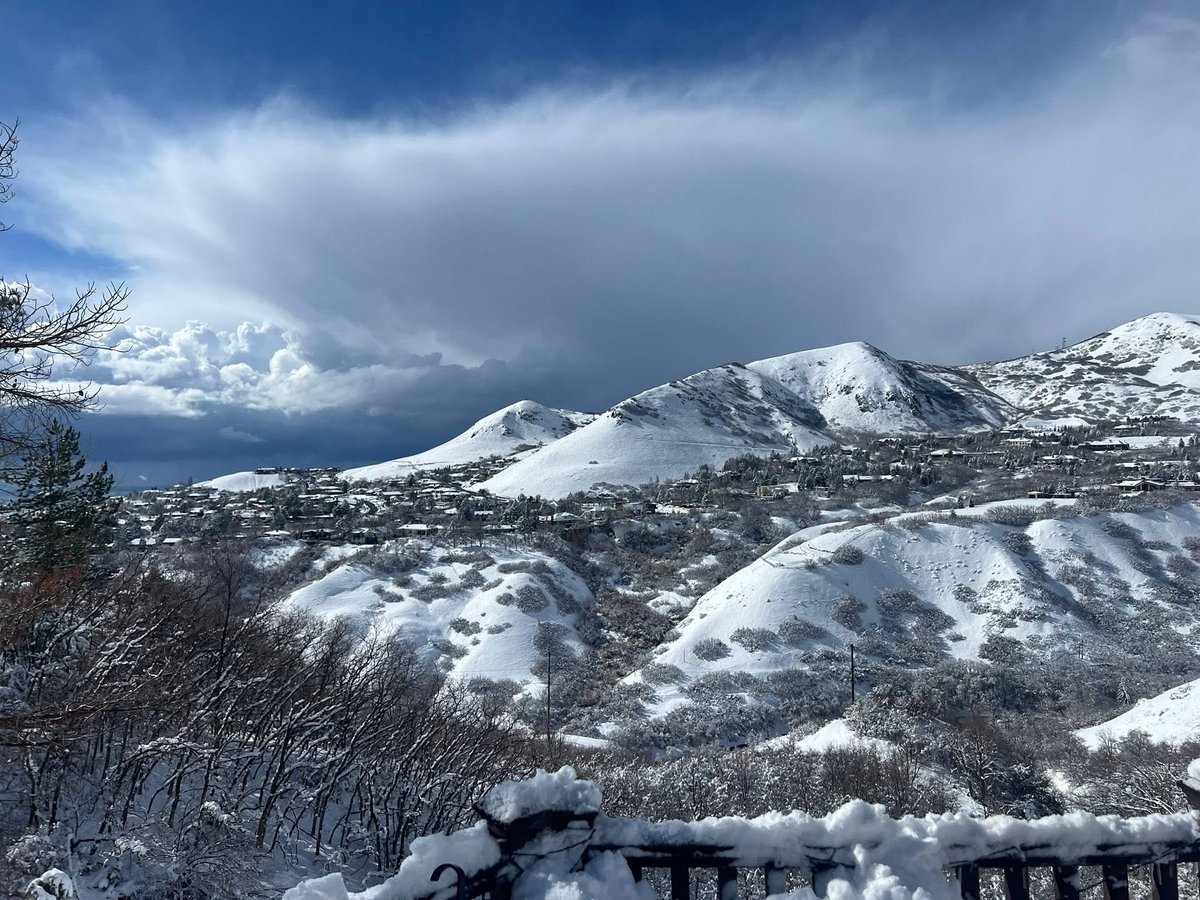 This will be our view in a few months!