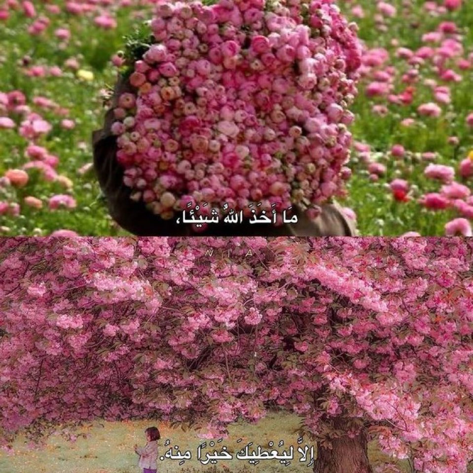 Tahfeez_al4at's tweet photo. https://t.co/Em6eFzdnQk