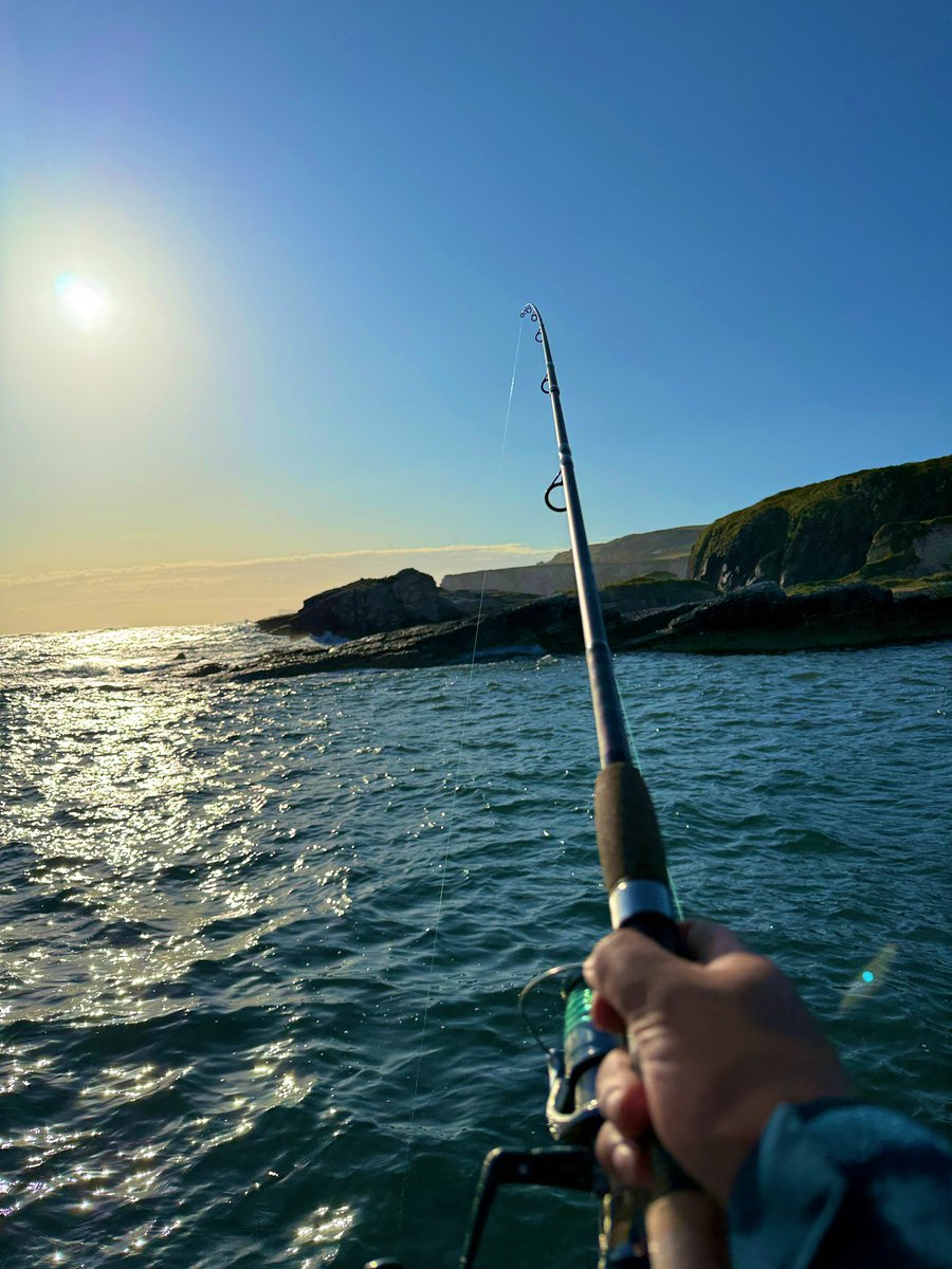 Monbryz's tweet photo. Fishy fishy 🎣 https://t.co/3qnk5kVPYr
