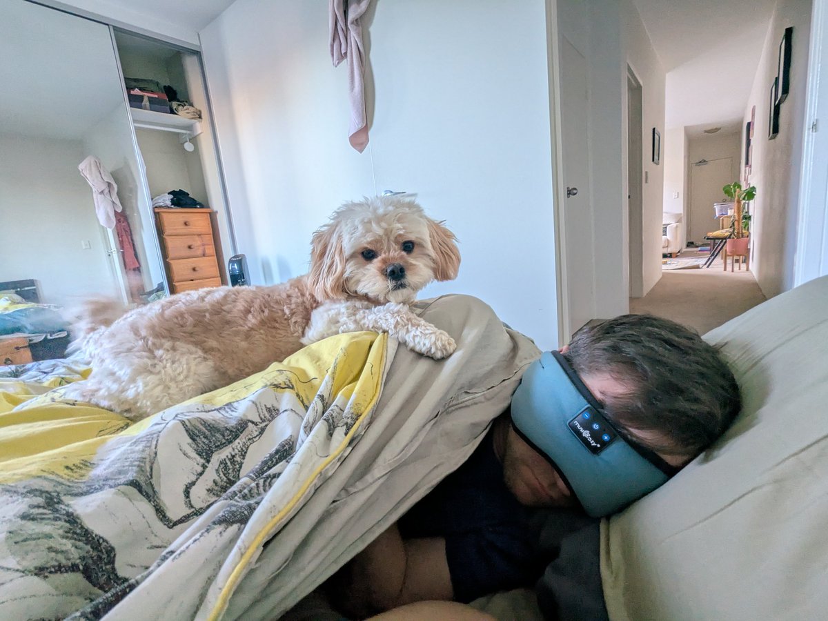 Bec Nowell tweet media